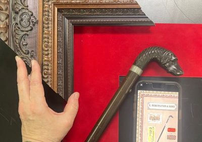 Remington Dog Cane Elements